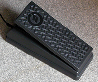 Moog Music EP-2 Customized