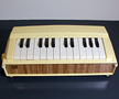 Rosko Portable Organ