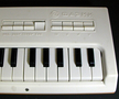 ����������(FAEMI) Mini Organ