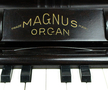 MAGNUS ORGAN #1510