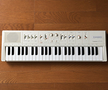 Casio Casiotone MT-60