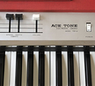 Ace Tone TOP-6