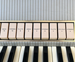 Farfisa Transicord Class2 Custom
